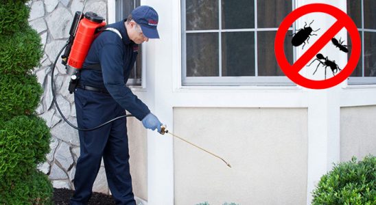 Gazipaşa Gümüşkurt İlaçlama böcek ilaçlama ve haşere kontrolü — ilaclama-tr.com